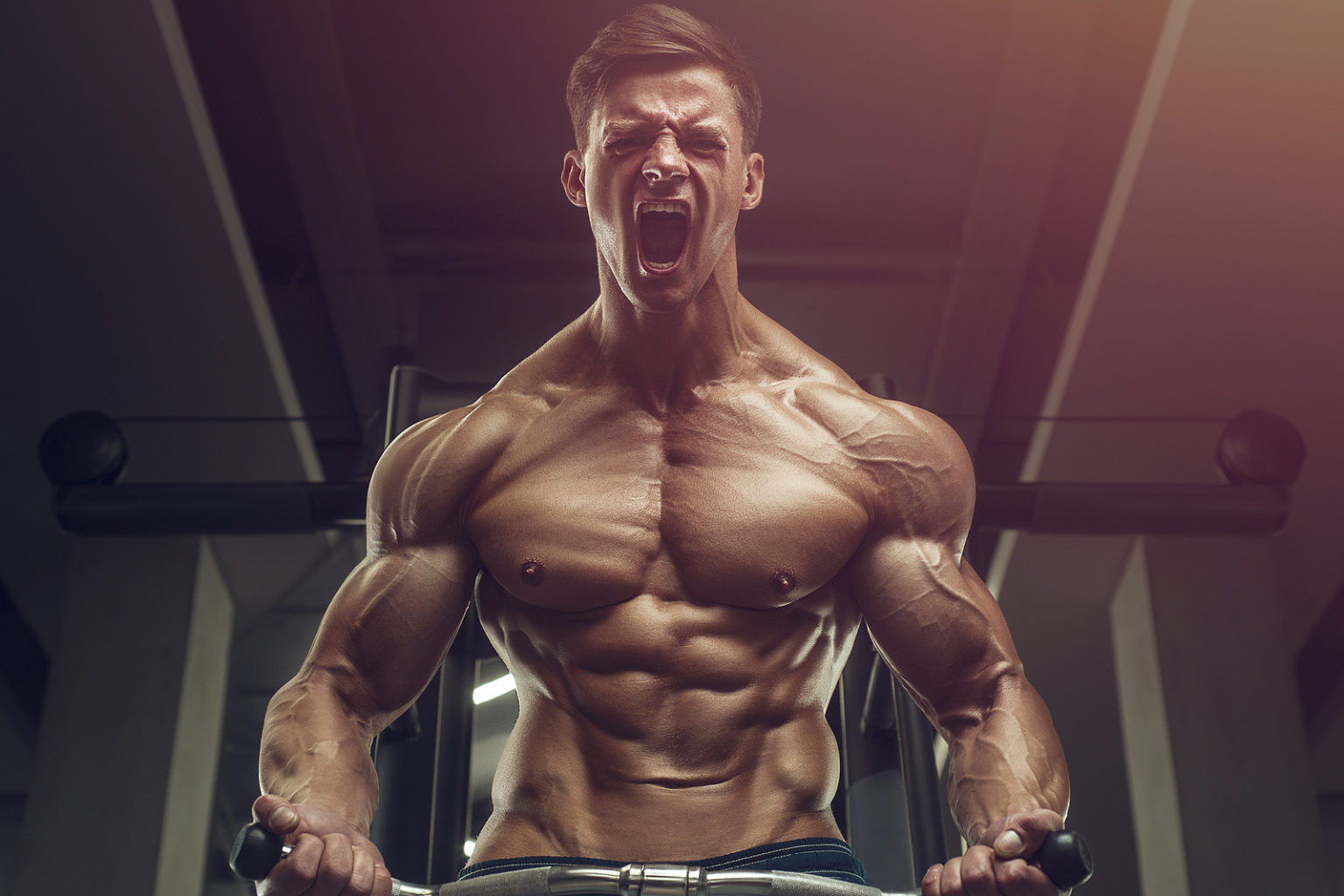 How To Get Shredded Our Ultimate Guide Jack City Fitness
